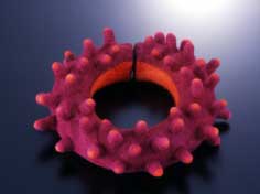 ���{�W���E���[�A�[�g�W2000���I��i